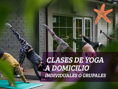 Clases de Yoga a Domicilio Alicante Natural